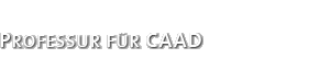 Professur fr CAAD