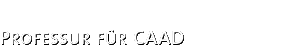 Professur fr CAAD