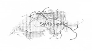 Yuki Ishizu:  Swissgrid