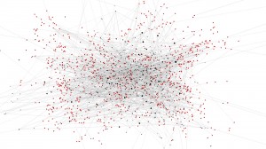 Maria Smigielska:  Movie User Network