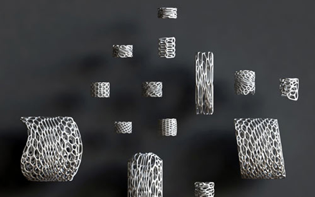 M2:22.11.2010/ Nervous System (Jessica Rosenkrants, Jesse Rosenberg)