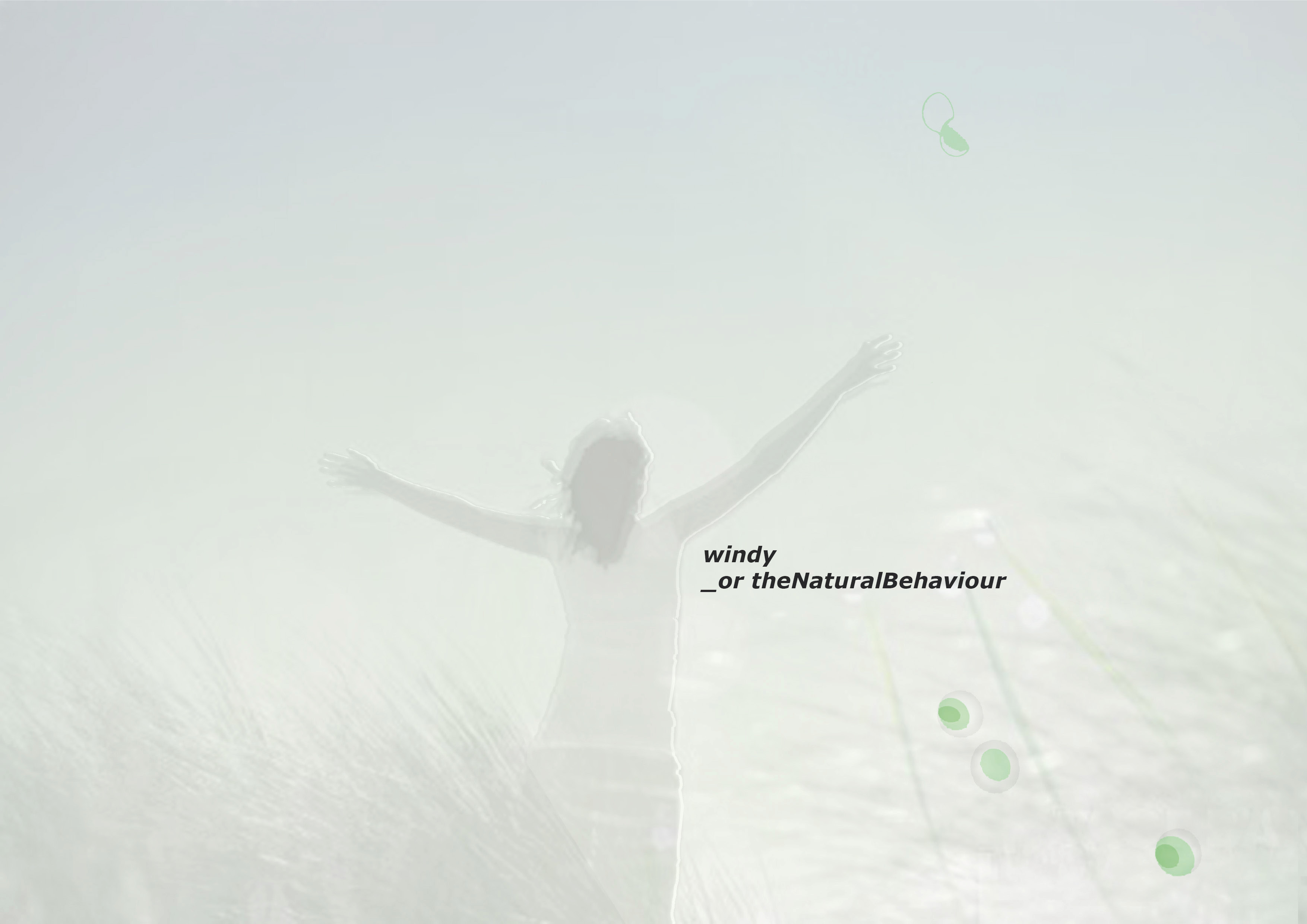 windy_orTheNaturalBehaviour
