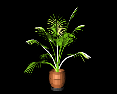 palme.jpg