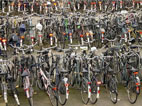 aok_bikes.jpg