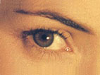 aok_eye.jpg
