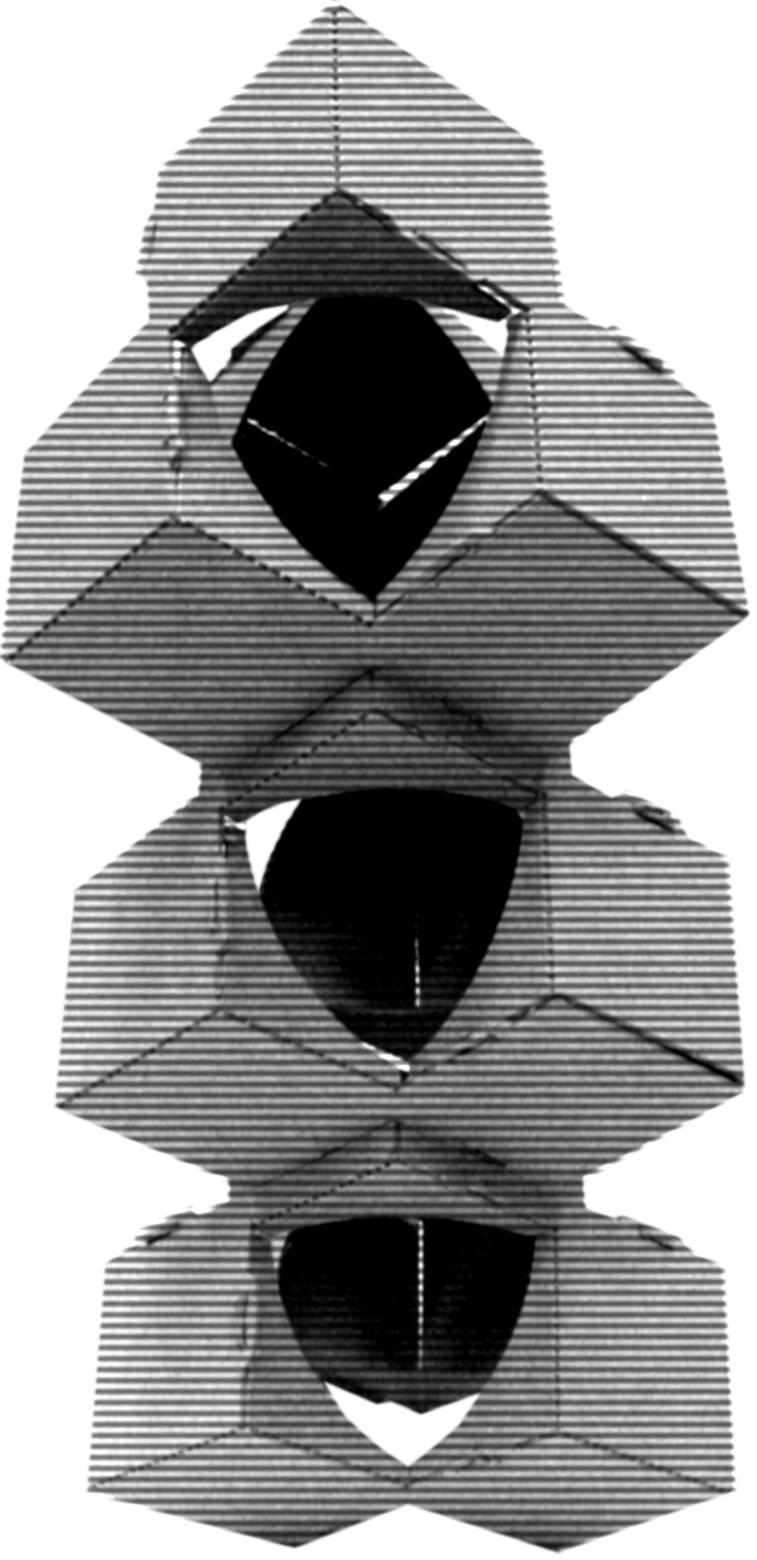iconverpackung.jpg