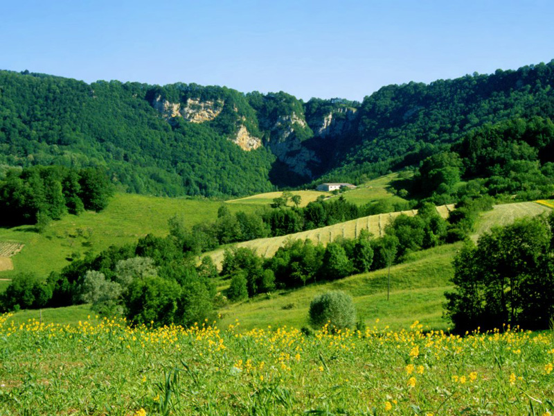 landscape.jpg