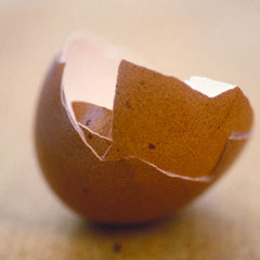 egg.jpg