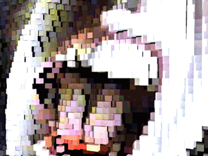 anim01.gif