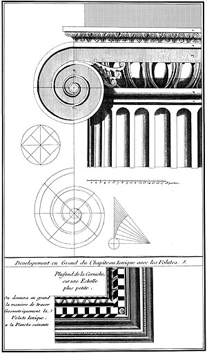 Vignola_ionvolute.jpg