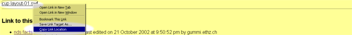 flash_copylink-location.1.gif