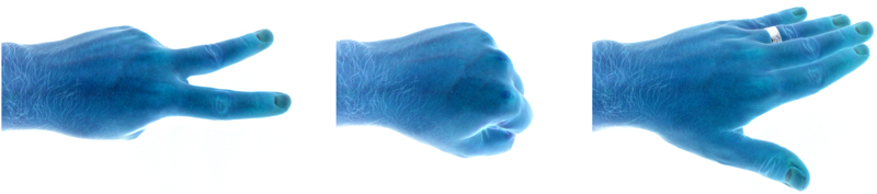 ssp2_800.jpg