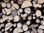 Holzbeige_72.jpg