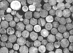 MAS_0512_mod01_CONC-002_b-w.jpg