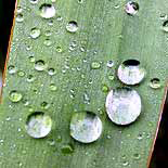 intro_wassertropfen2_02.jpg