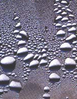 wassertropfen_01copy.jpg