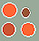 MAS_0512_mod02_circ_003_d1.jpg