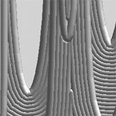 MAS_0601_mod03-01_067_v28_rC_top-d.jpg