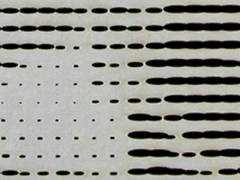 MAS_0512_mod02_2d_001_d.jpg