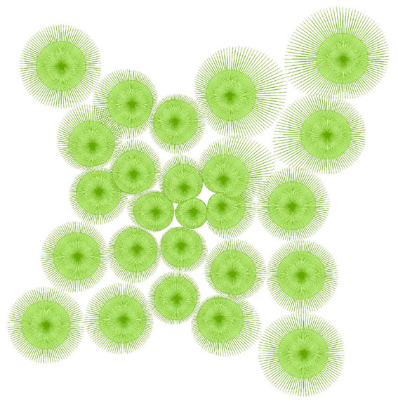 blumen_2.JPG