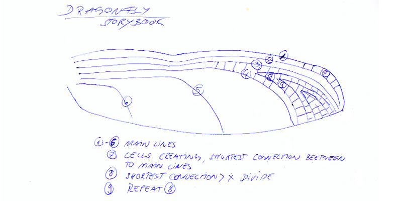 Dragonfly_scetch_02.jpg