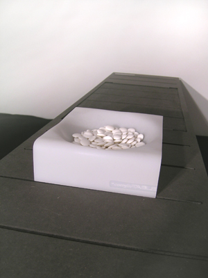 plexi01.jpg