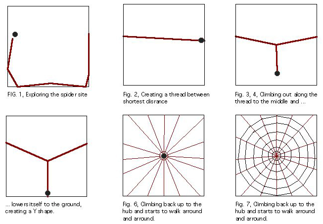 SpiderRules_01.3.JPG