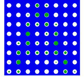 image_s6.jpg