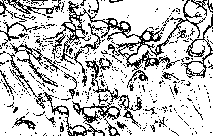raster.jpg