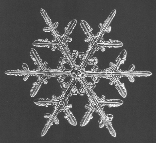 snowflakeImage.gif
