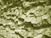 image_tectonic.jpg