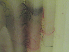 MAS_0601_mod03-02_130_b_cl.jpg