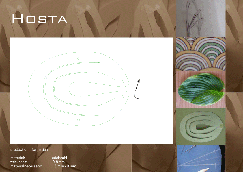 hosta1.gif