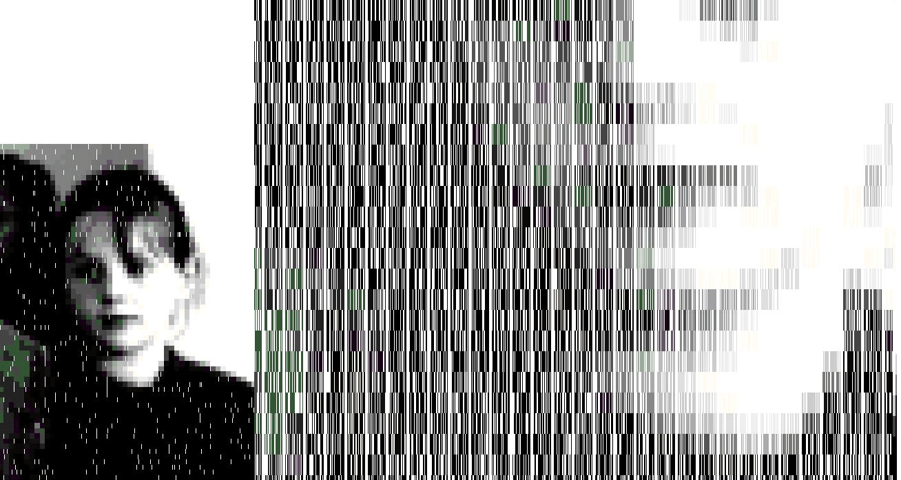 barcodefinal.gif