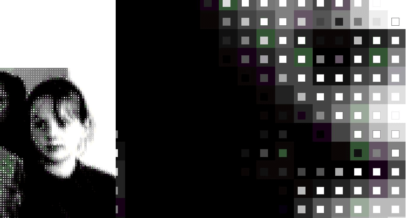 squaresfinal.gif