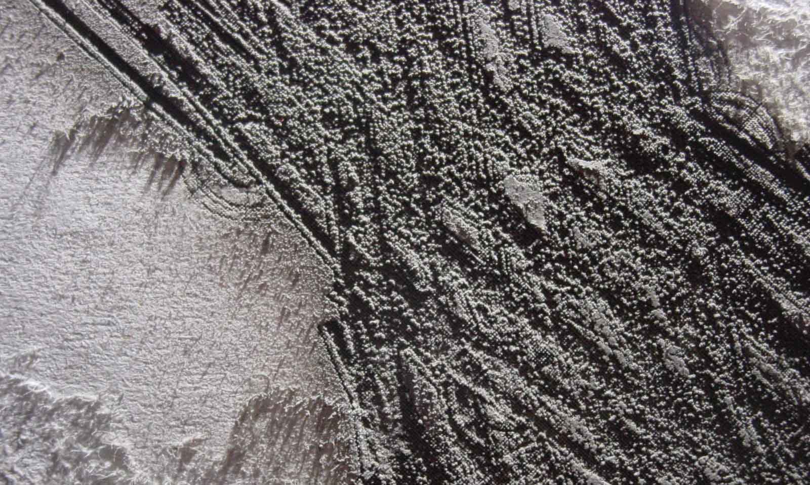 fossilemyrealcloseup.jpg