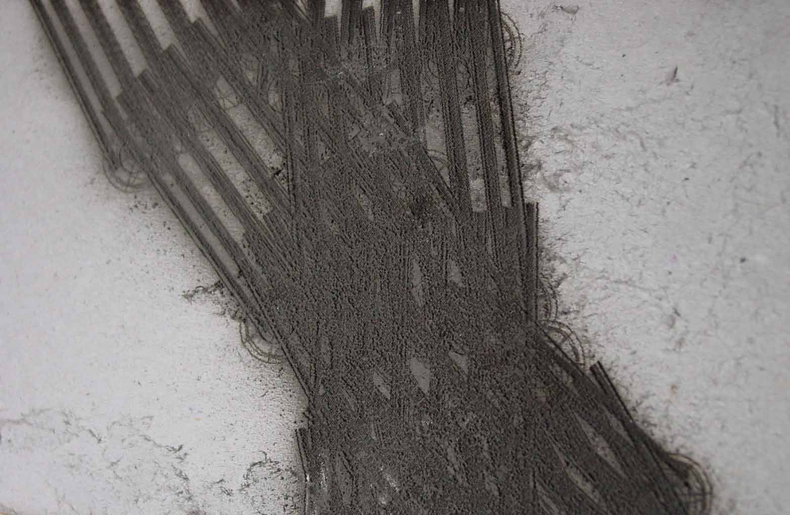 fossileplantsmy1detail.jpg