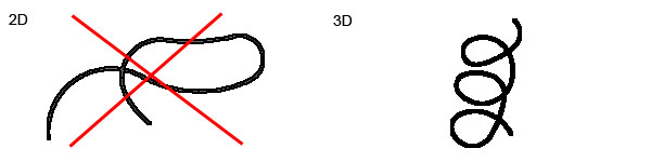worm002.jpg