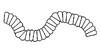 script07_image.jpg