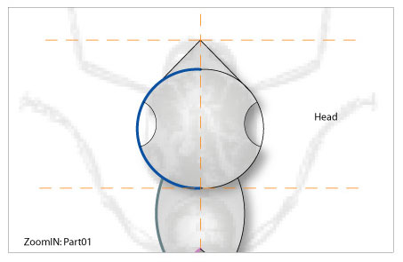 head01.jpg