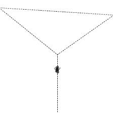 Netzbau2.jpg