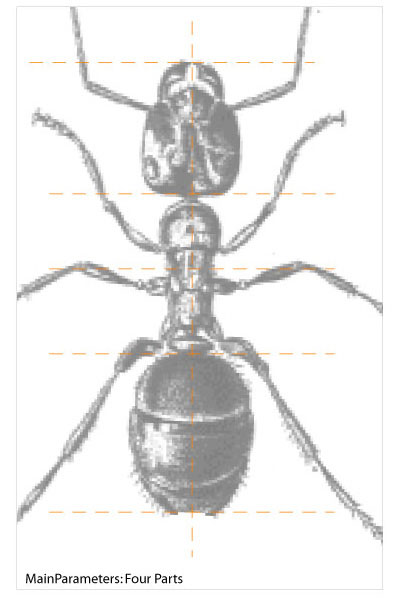 mainparamter01.jpg