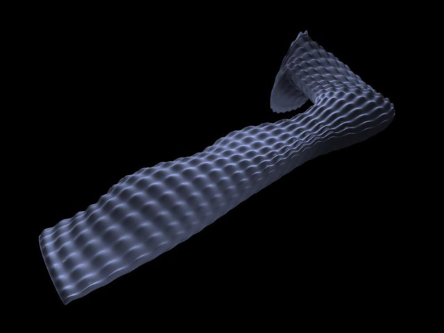 grip_render10.jpg
