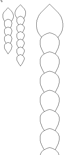 snap0006.png