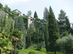 como02.gif
