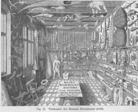 museum_wormianum_k.jpg