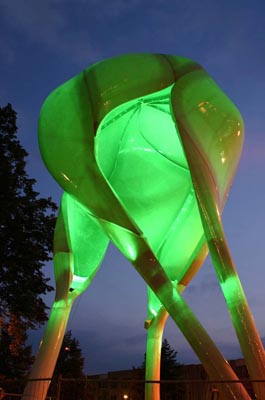 06.jpg