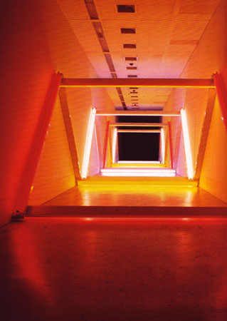 flavin_1969.jpg