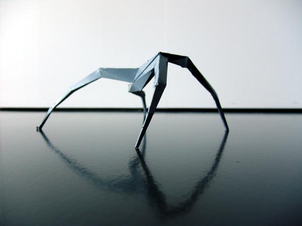 SpinnenForm10.jpg