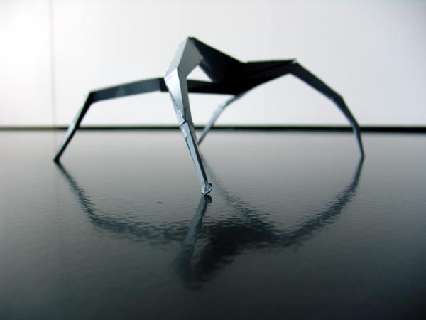 SpinnenForm11.jpg
